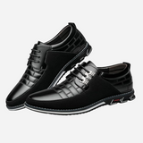 Louis Breathable Leather Shoes