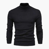 Merino Wool Roll Neck