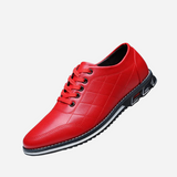 Vincent Elegant Comfortable Men's Shoes