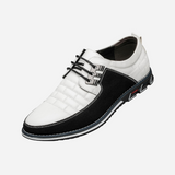 Louis Breathable Leather Shoes