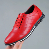 Vincent Elegant Comfortable Men's Shoes