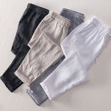 David Costa Coastline Linen Pants