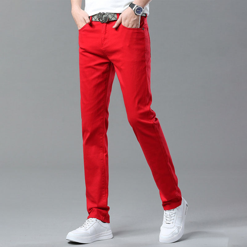 David Costa Slim Fit Casual Pants