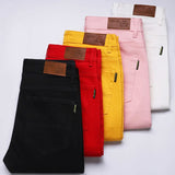 David Costa Slim Fit Casual Pants