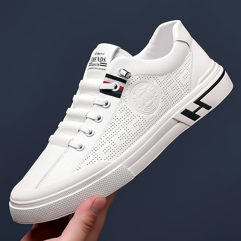 Harold - Casual Shoes